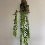 T・Sの画像