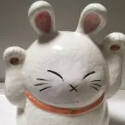 ドラねこの画像