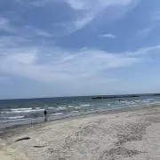 takaの画像