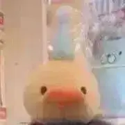 うぃんの画像
