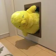 ゆう　※神山君の写真プロフ読んで下さいの画像