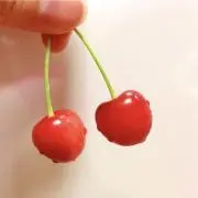 にこりるの画像