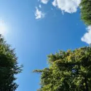 2点以上お値引きしますの画像