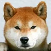 小田 健太の画像
