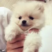 まりー
