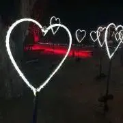 ここ☺︎