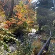 かわっさん