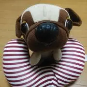 Y君の画像