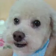 よしそうか