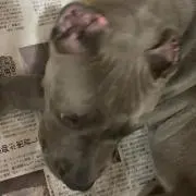 まさ