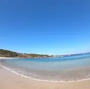 十四代　秘蔵