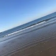スズの画像