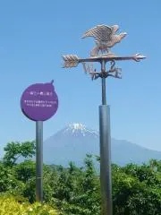 あやこころの画像