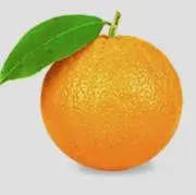 コナの画像