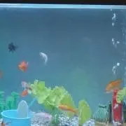 結水の画像