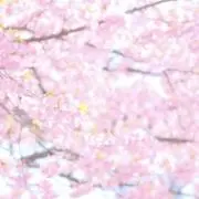 sora❁︎haruの画像