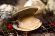 はまぐり