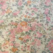 Honeyiceの画像