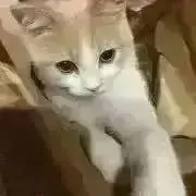 お値下げ交渉◎の画像