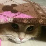 もち【プロフ見てね❗️】