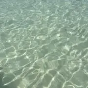nuuuの画像