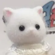 しろねこの画像