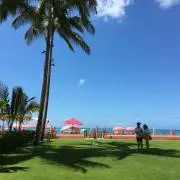 さくらの画像