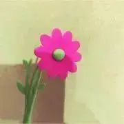 ファルコンの画像