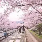 ゆいの画像