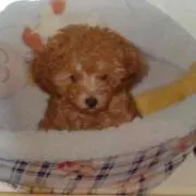 さっち 《★プロフご覧下さい^_^》の画像