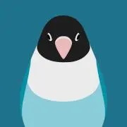 鳥の画像