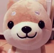 くま丸の画像