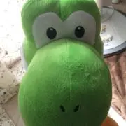 やーしん