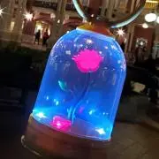 Sの画像