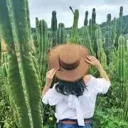きょべの画像