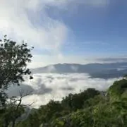 れお♬の画像