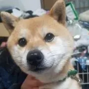 タカちゃんの画像