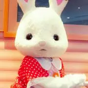 ろこたん