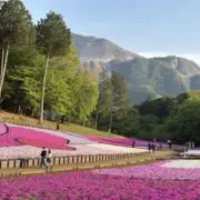 さおまるの画像