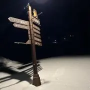 ひよの画像