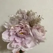 lalalaの画像