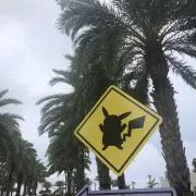 くまの画像