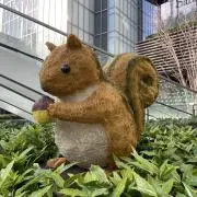 りすこの画像