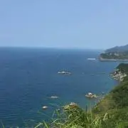 わさおん