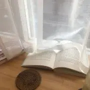 nnの画像