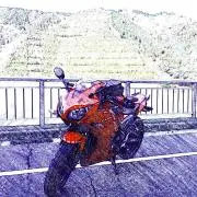 カネゴン♂の画像