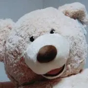 ベア子の画像