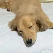 ゆーうの画像