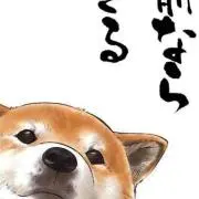 zub