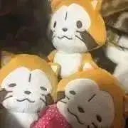 光仔☺︎